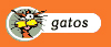 Gatos Cats Gato Feline