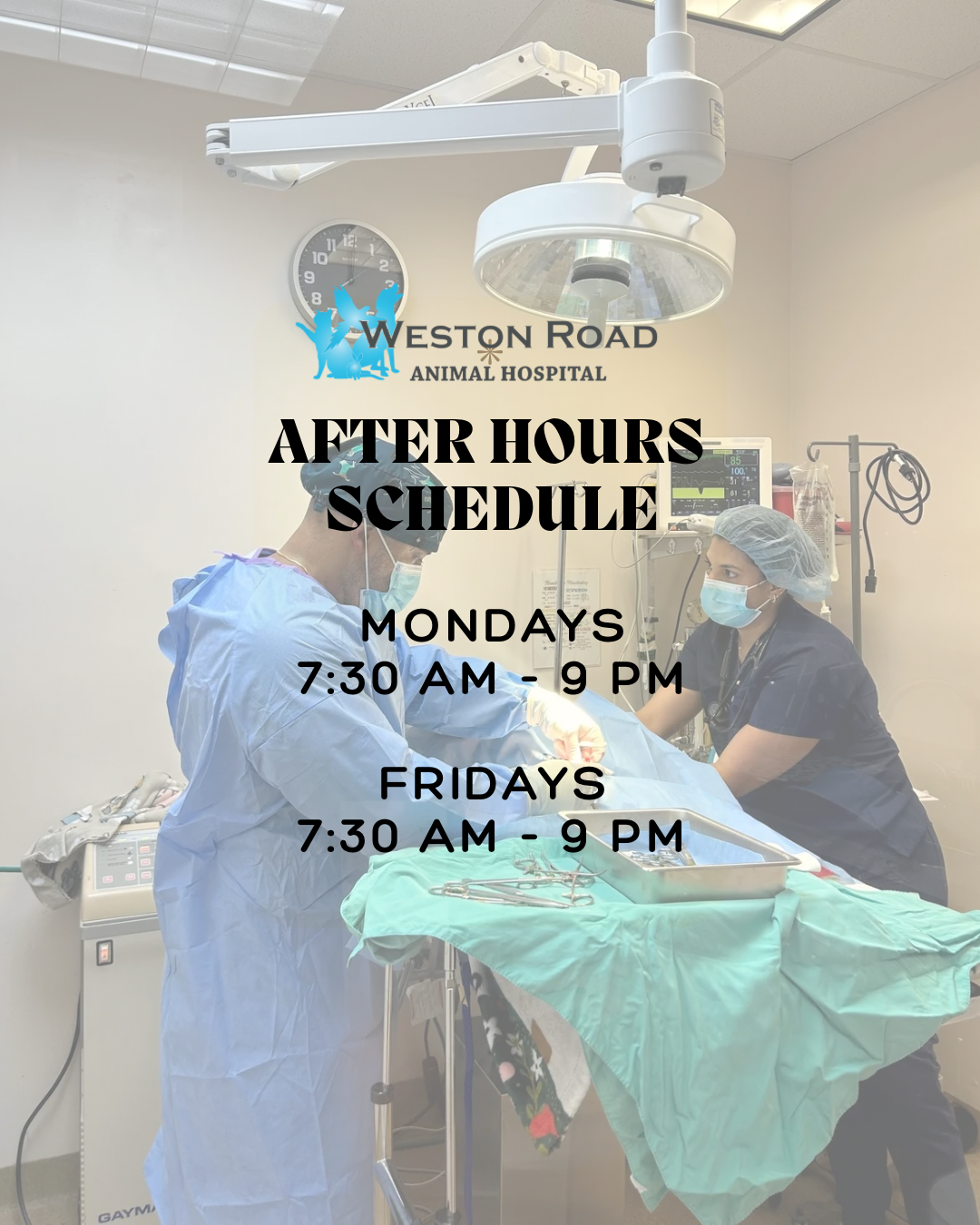 After Hours Schedule - Weston Road Animal Hospital