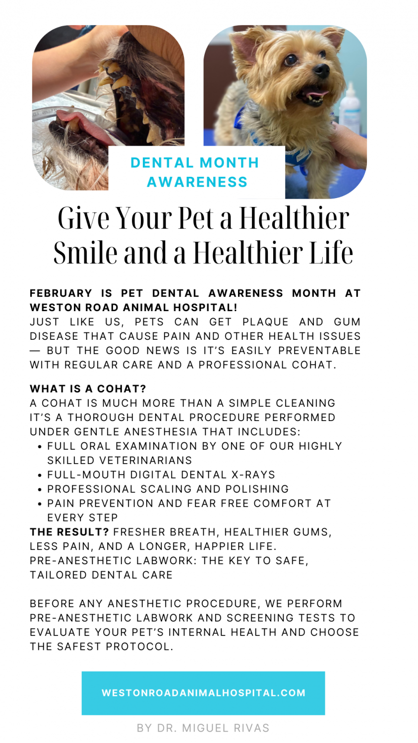 February Newsletter Page 1