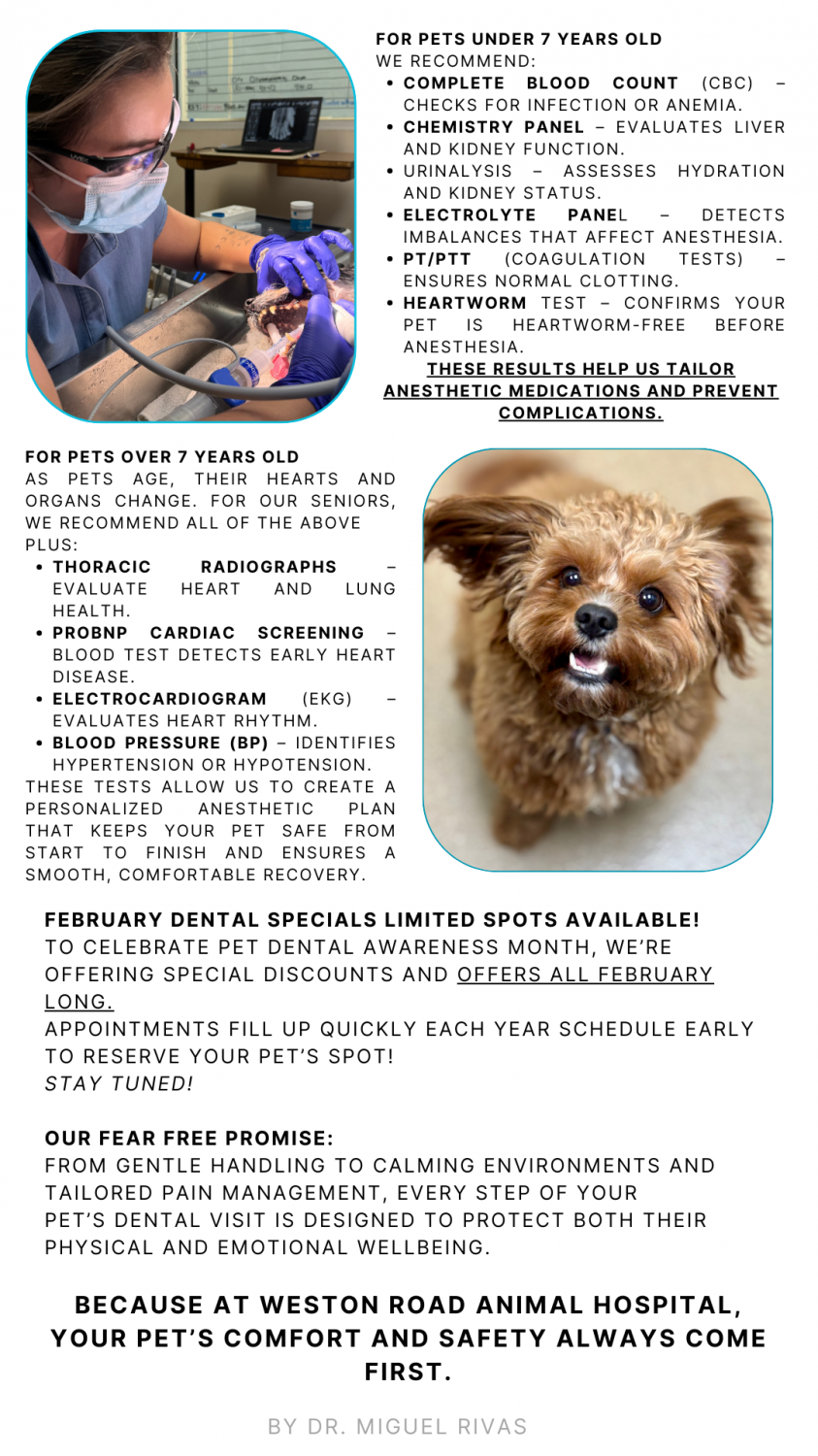 February Newsletter Page 2